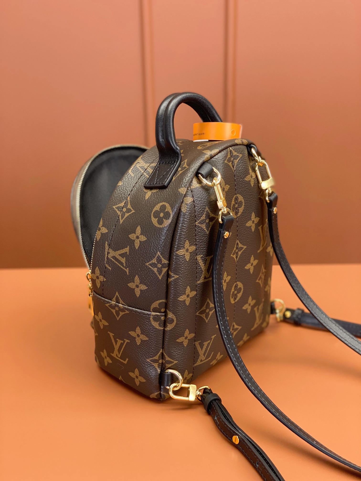 Louis Vuitton PALM SPRINGS Mini Backpack M44873