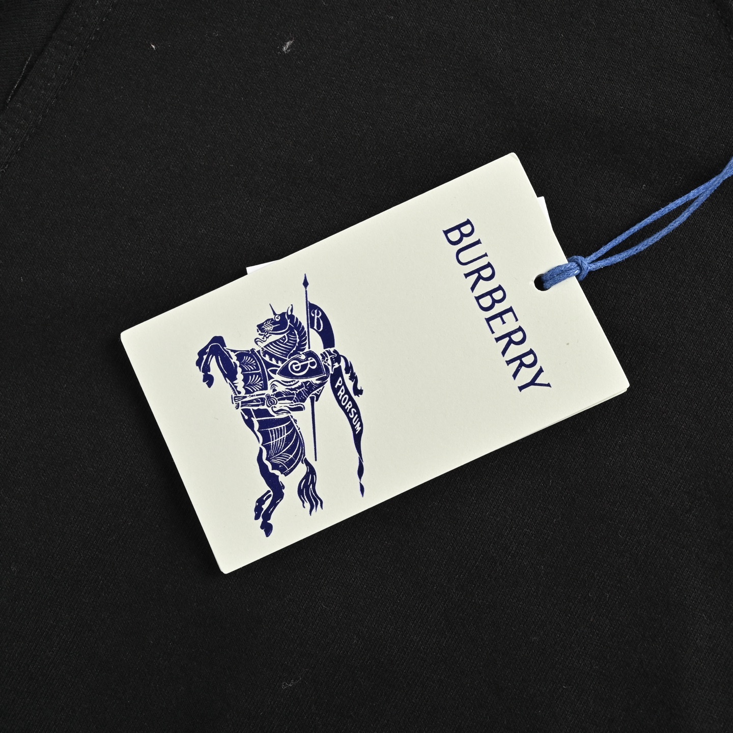 Burberry 25ss Year of the Snake limited edition short-sleeved shirt with back logo print