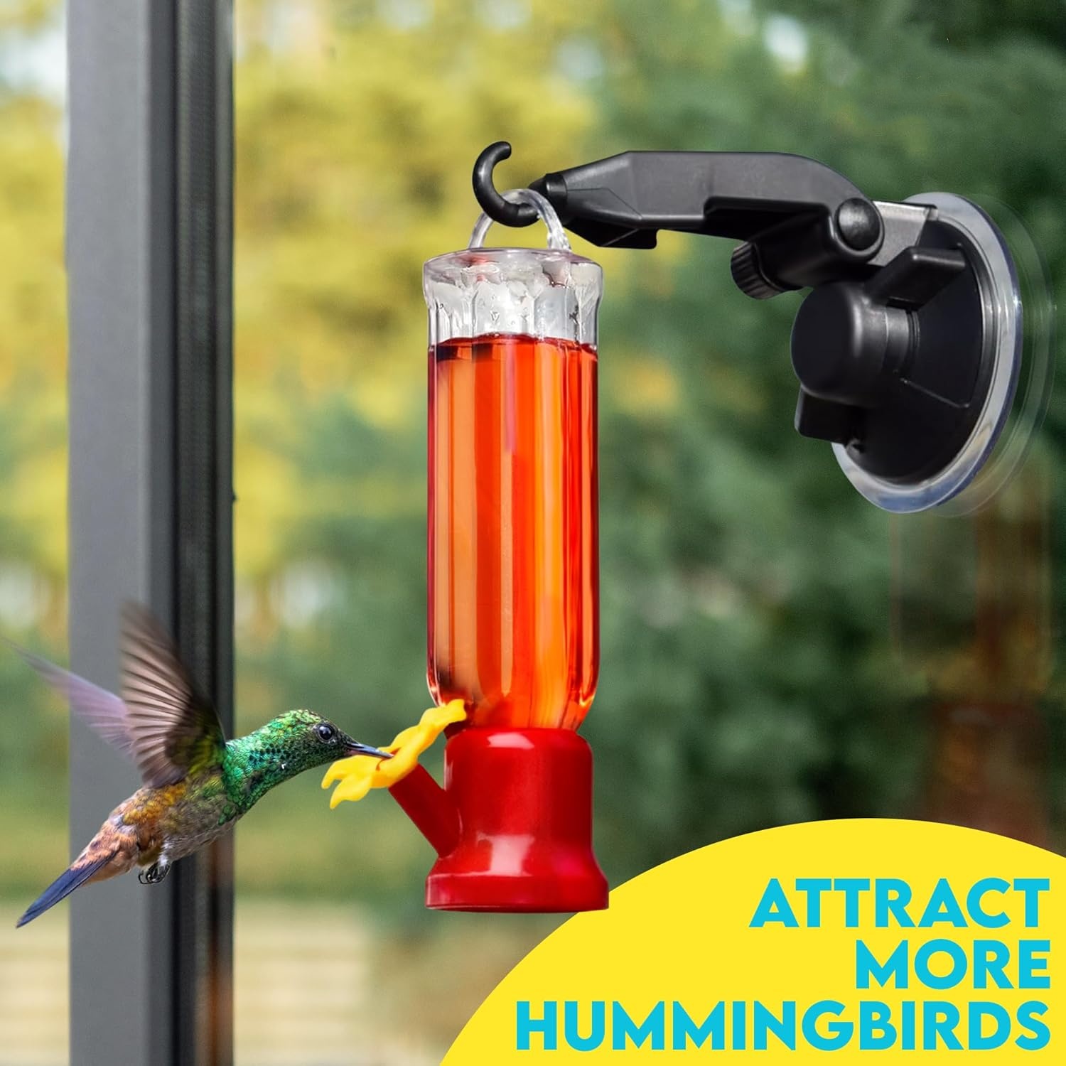 🔥On Sale🔥Mini Hummingbird Feeders