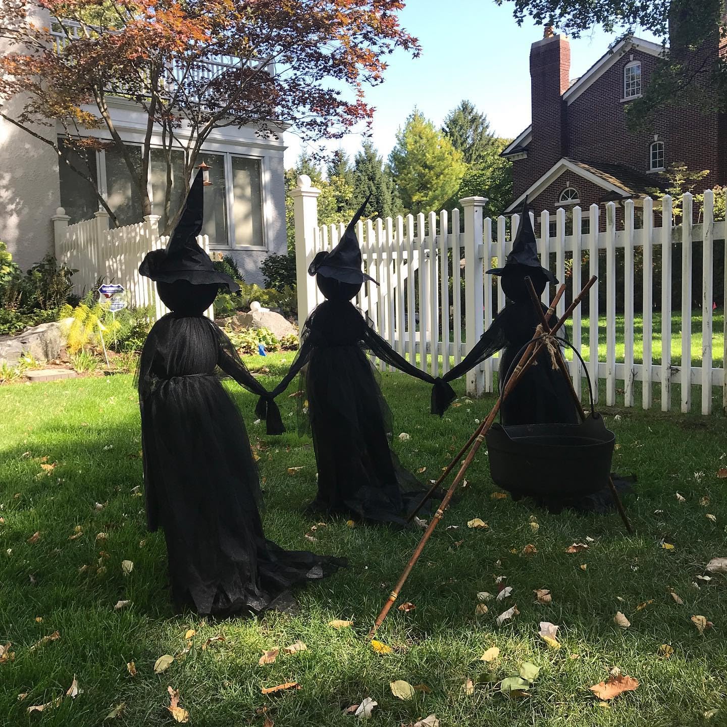 ✨Halloween Lighted Witches with Stakes🧙‍♀️