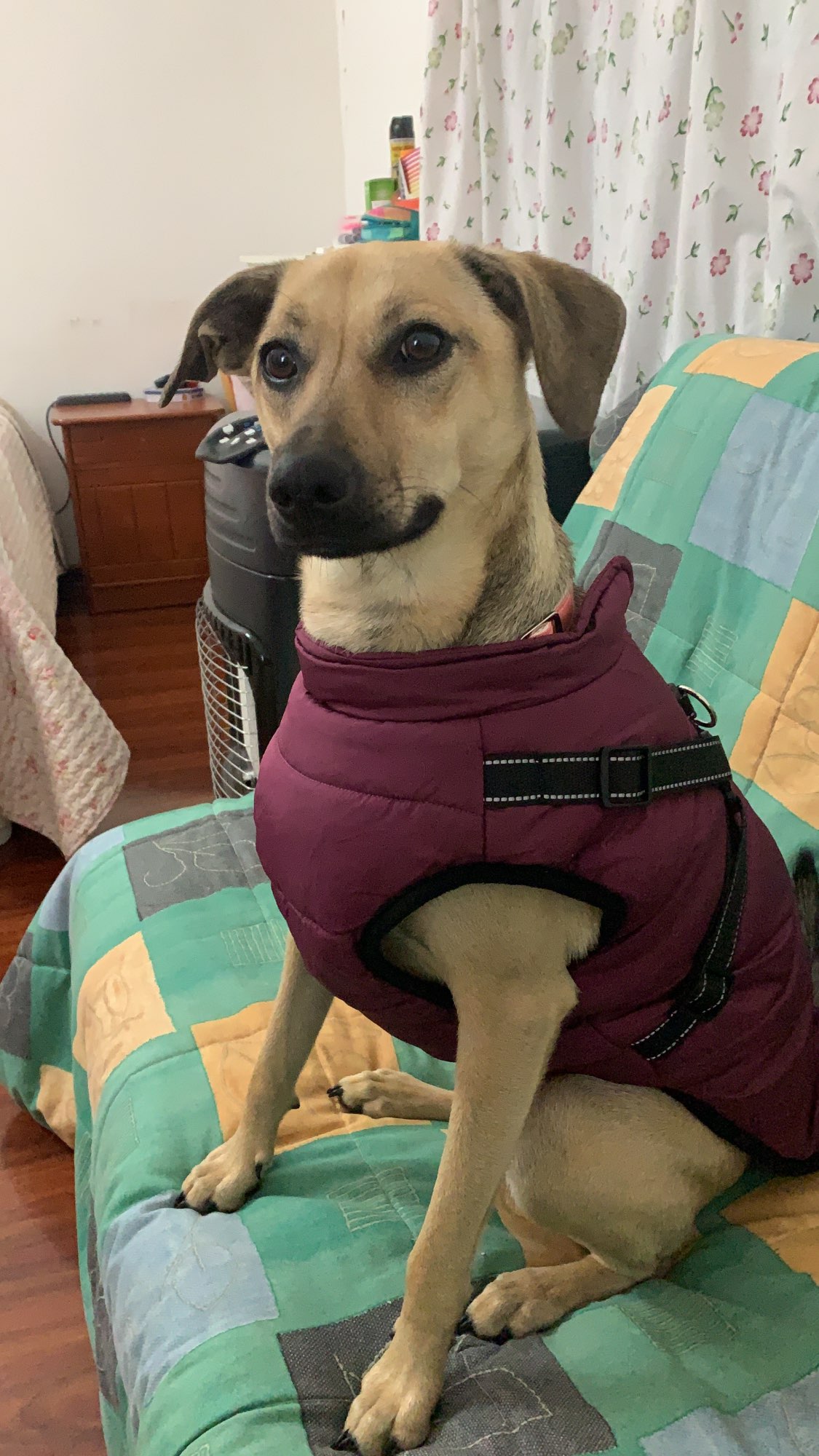 Waterproof Winter Jacket with Built-in Harness