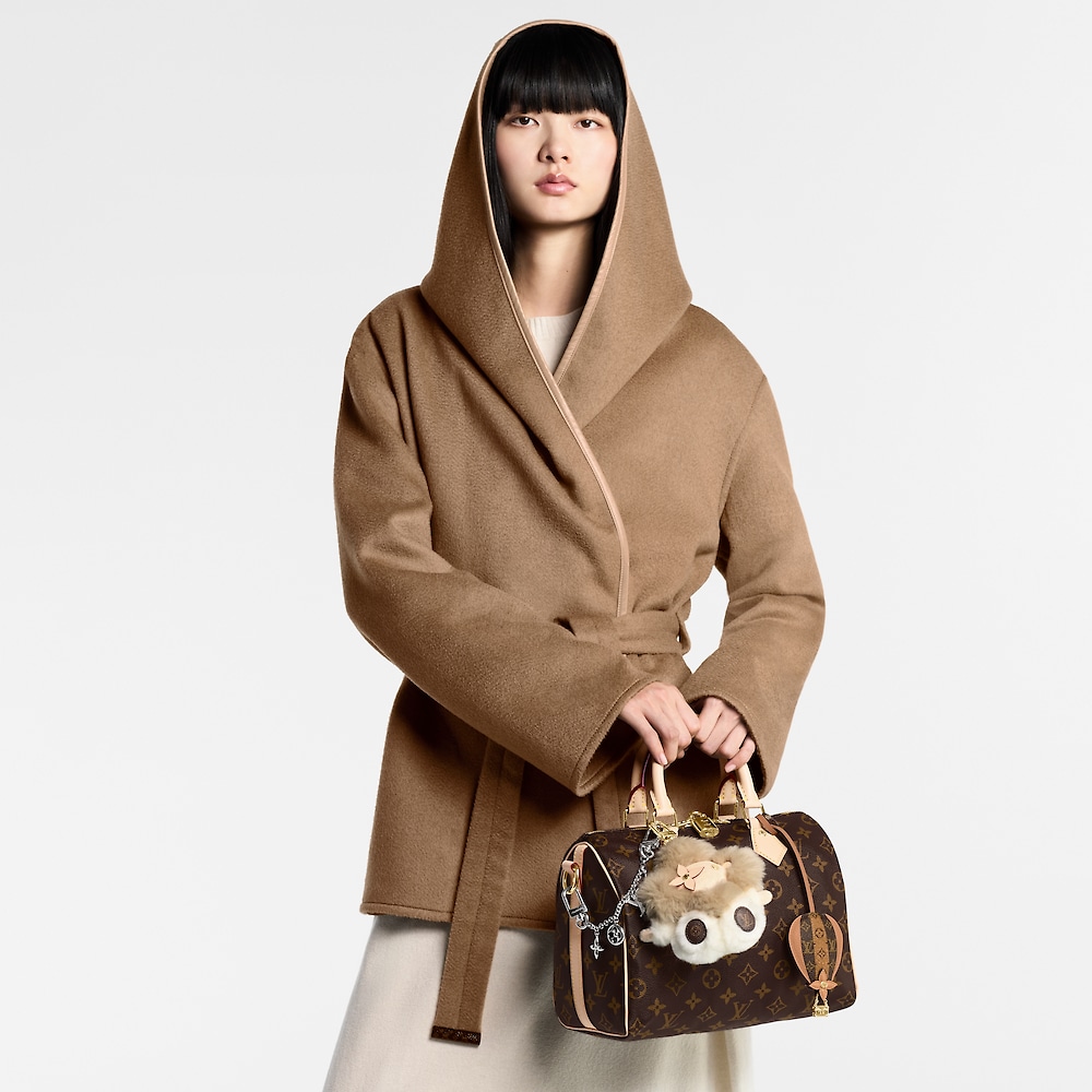 Louis Vuitton SPEEDY BANDOULIÈRE 25 BAG M46977