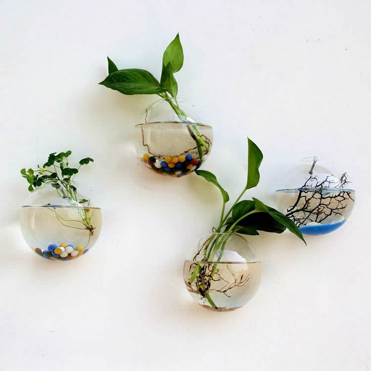 🌺🌺Creative Hanging Wall Glass Vase
