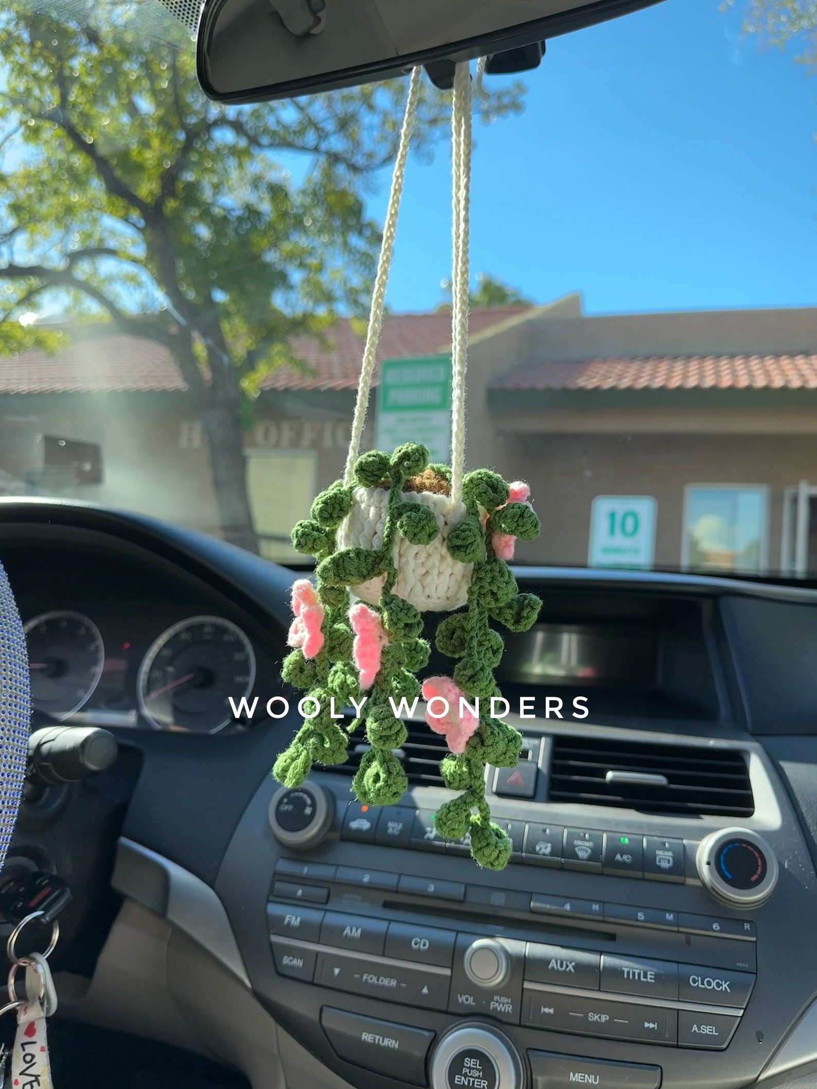 🌸Handcrafted Crochet Hanging Plants🌸