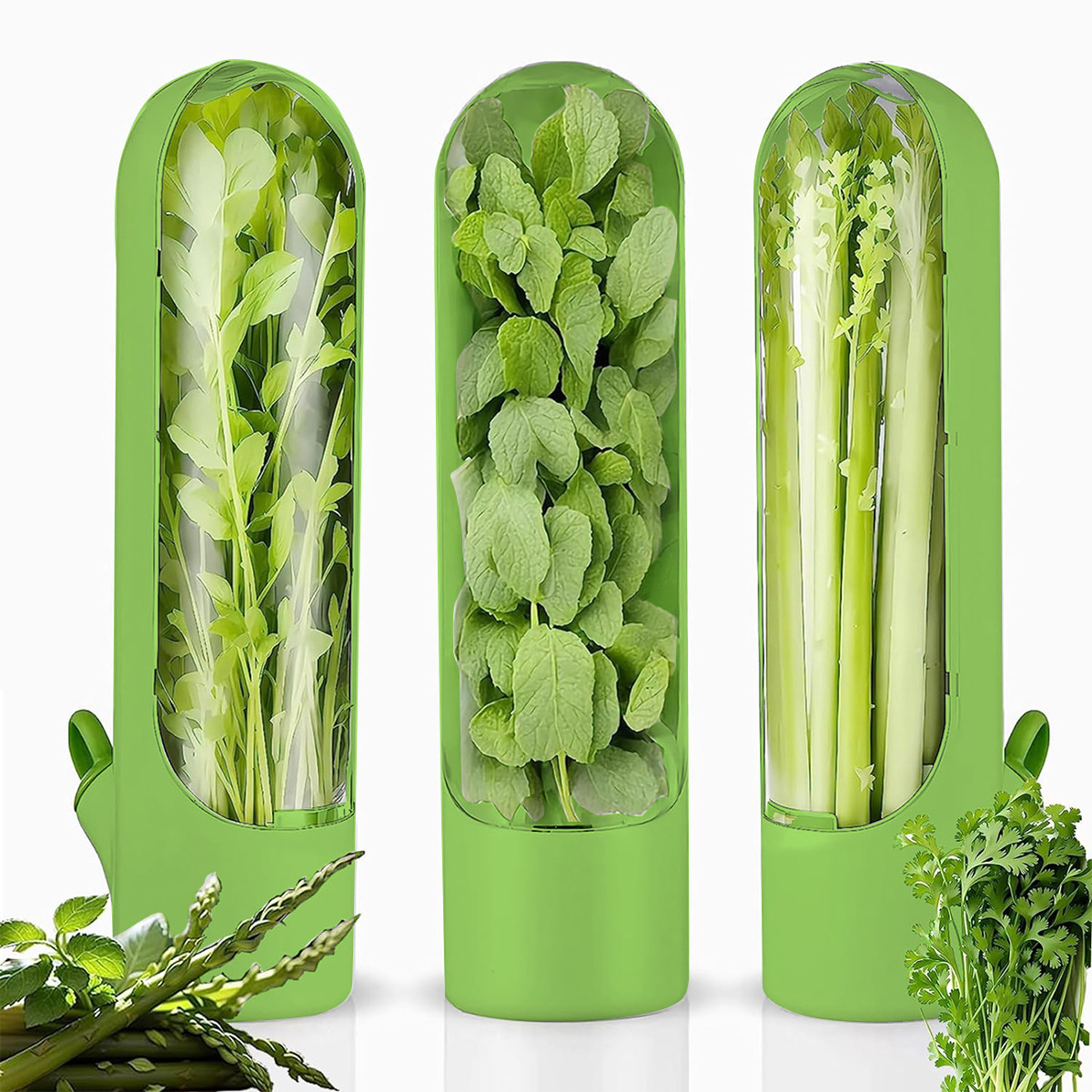 🥬🥬Fresh Vegetable Storage Box