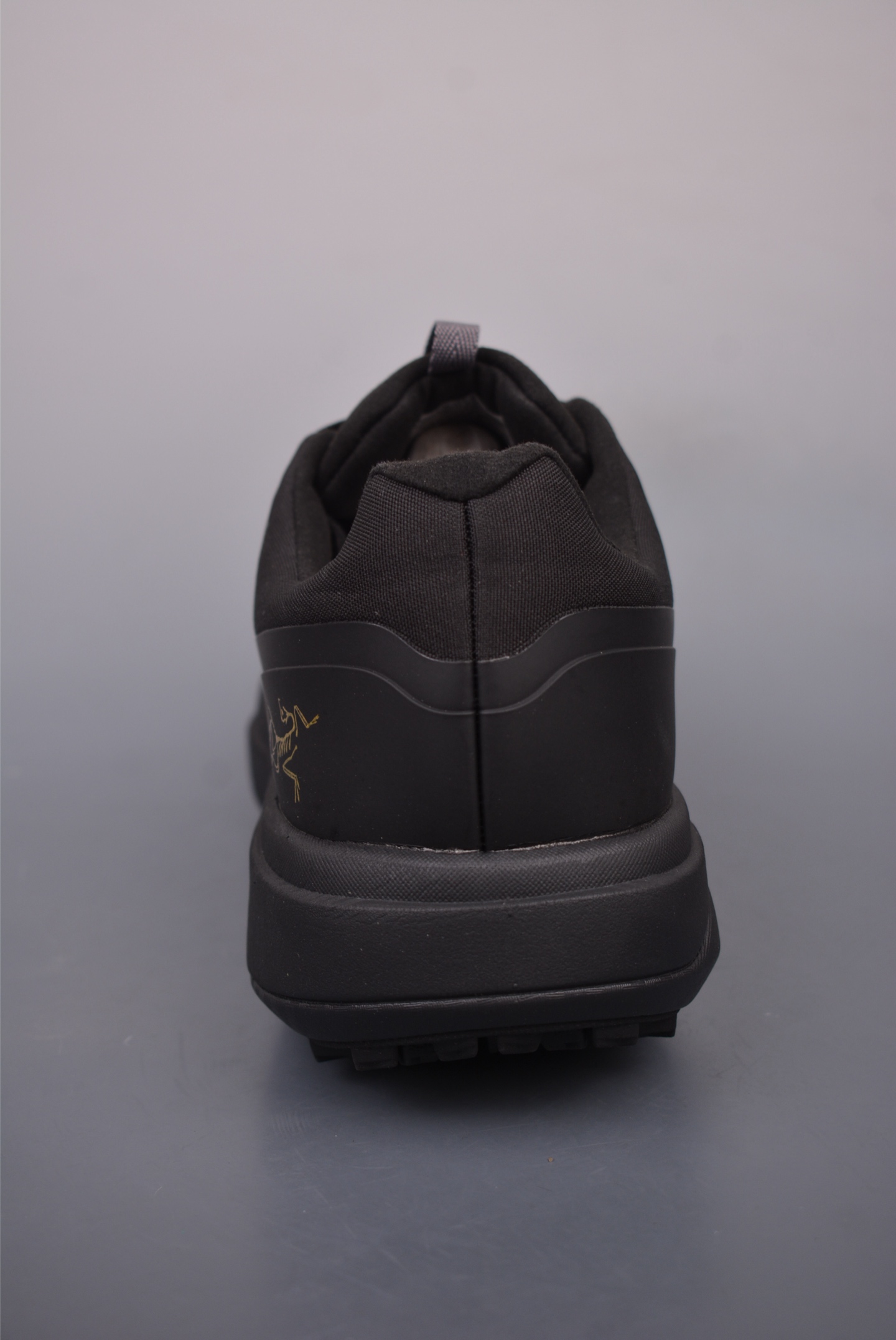 Arc'teryx Sylan GTX Black Gold Label 077218