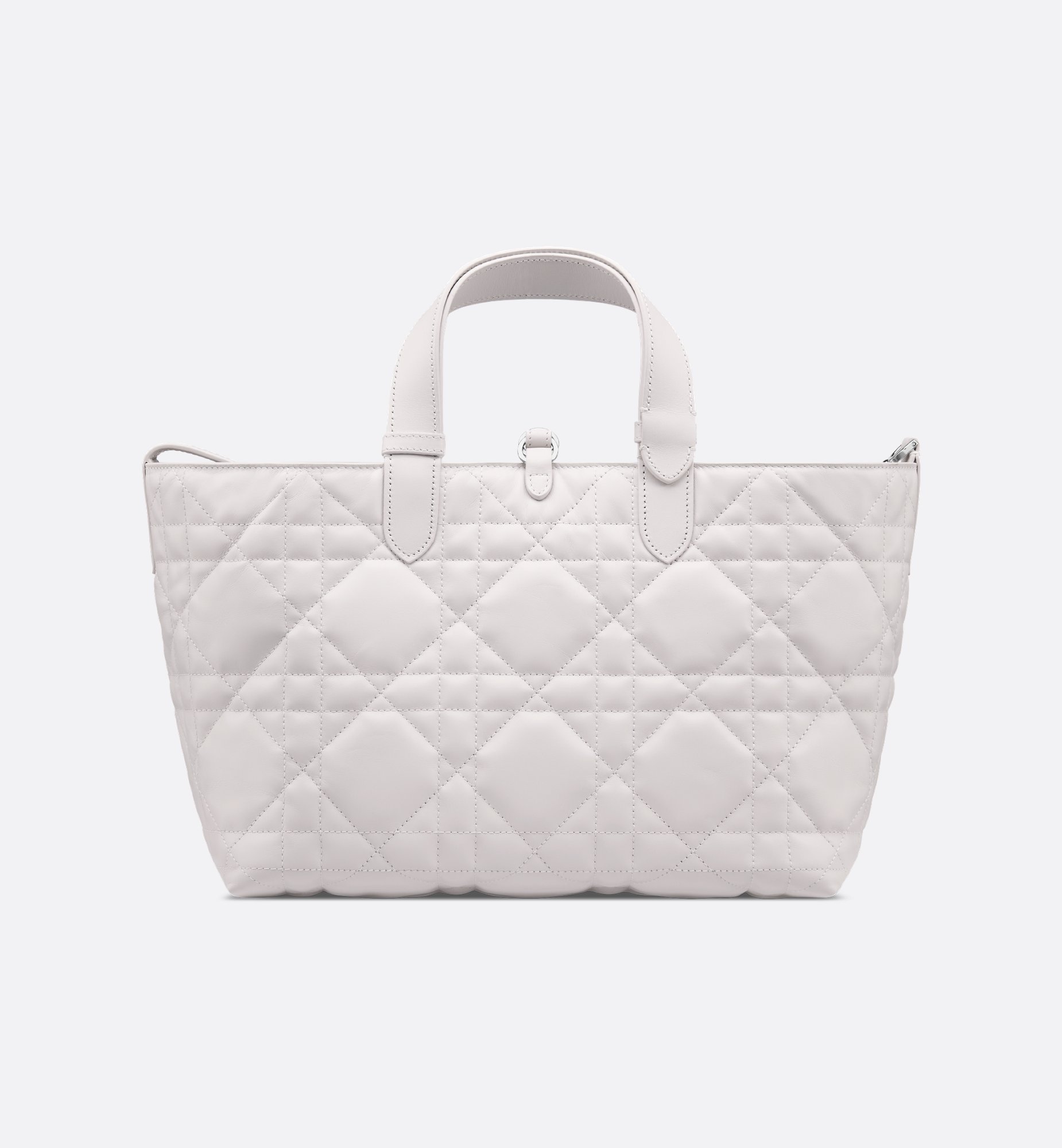 Dior Medium Dior Toujours Bag M2821PSNW_M19G