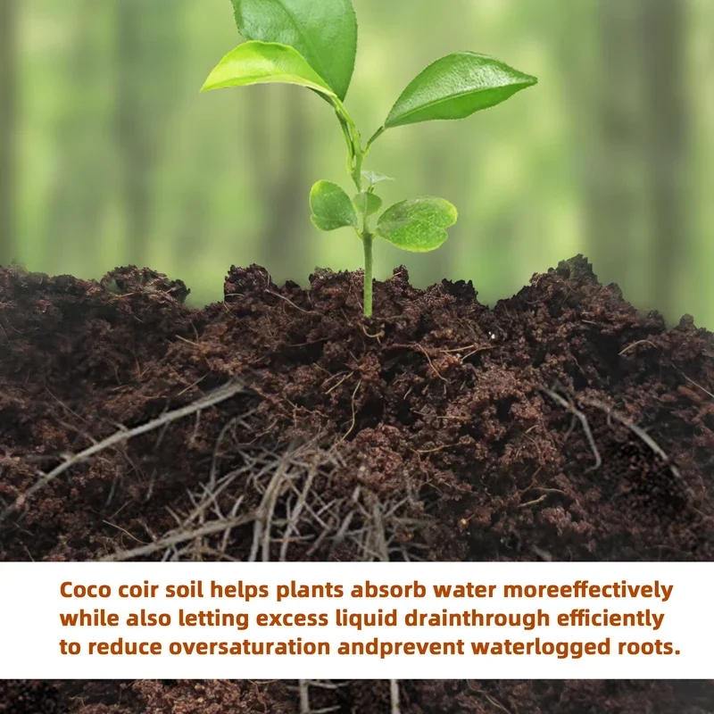 🔥Hot Sale Promotion 49% OFF - Organic Coconut Coir for Plants