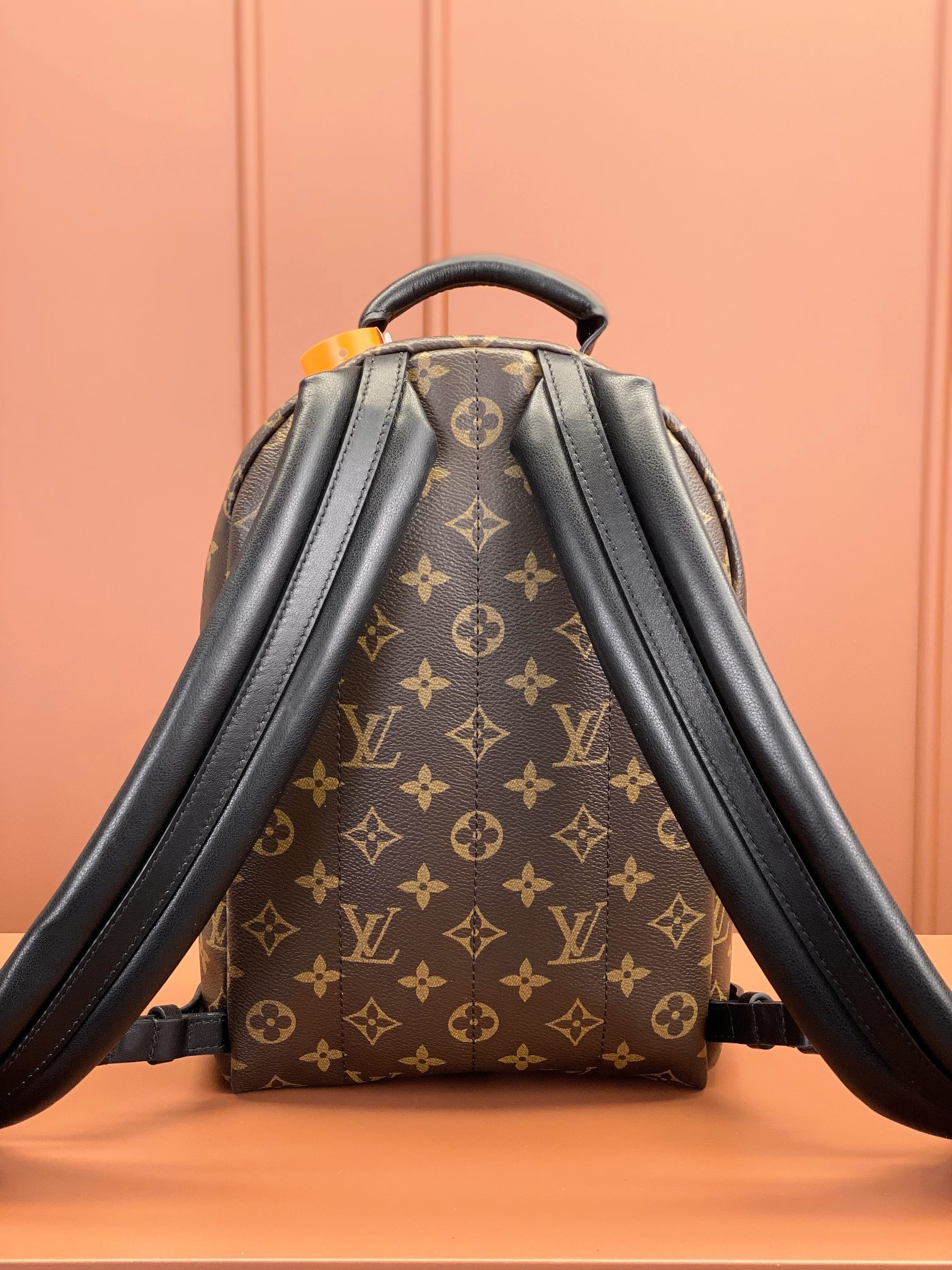 Louis Vuitton PALM SPRINGS Small Backpack M44871