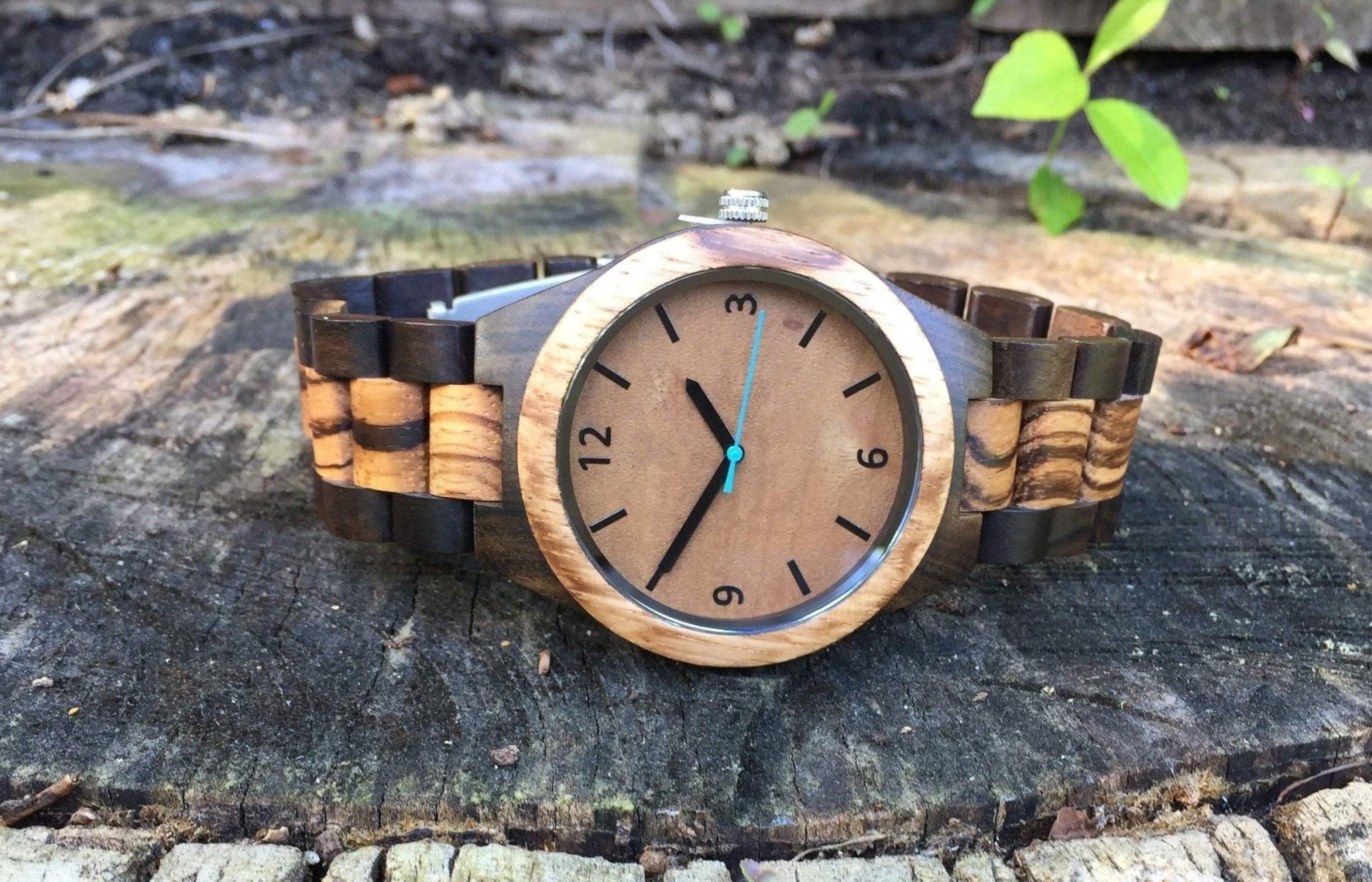 Wooden Watches - Creativo