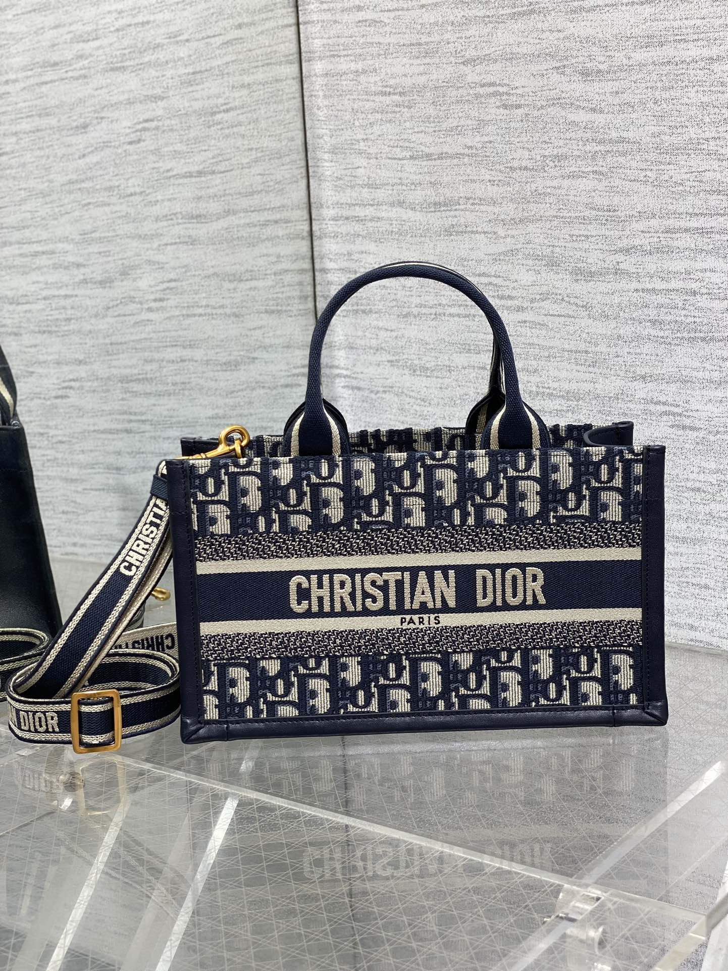 Dior Mini Tote Bag