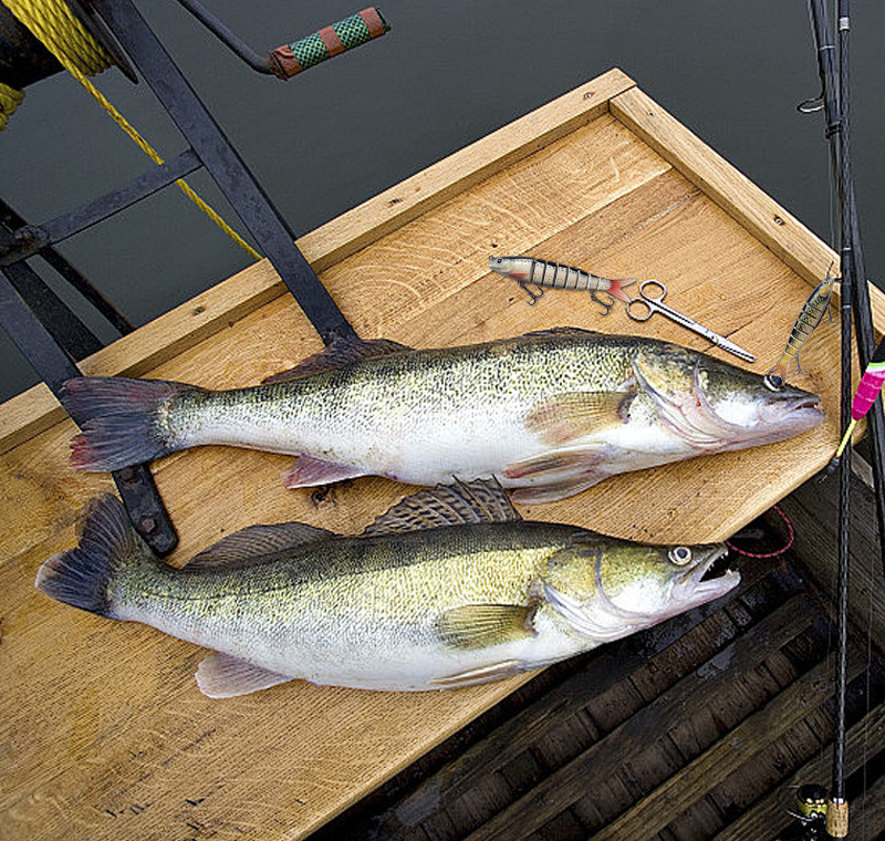 Bionic  Premium Fishing Lures