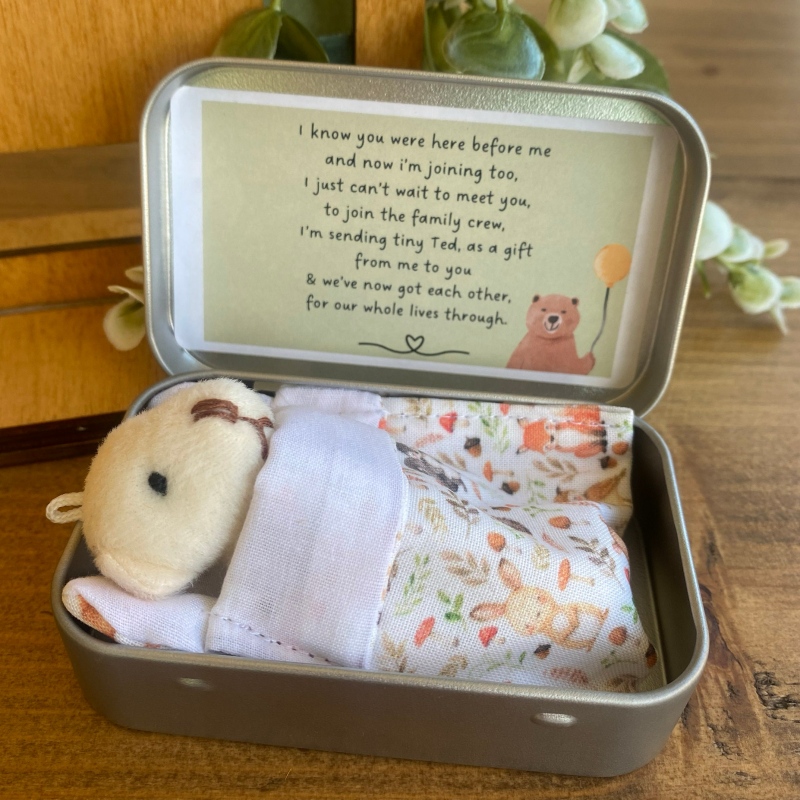 Sibling Teddy in a Tin | Idea gift
