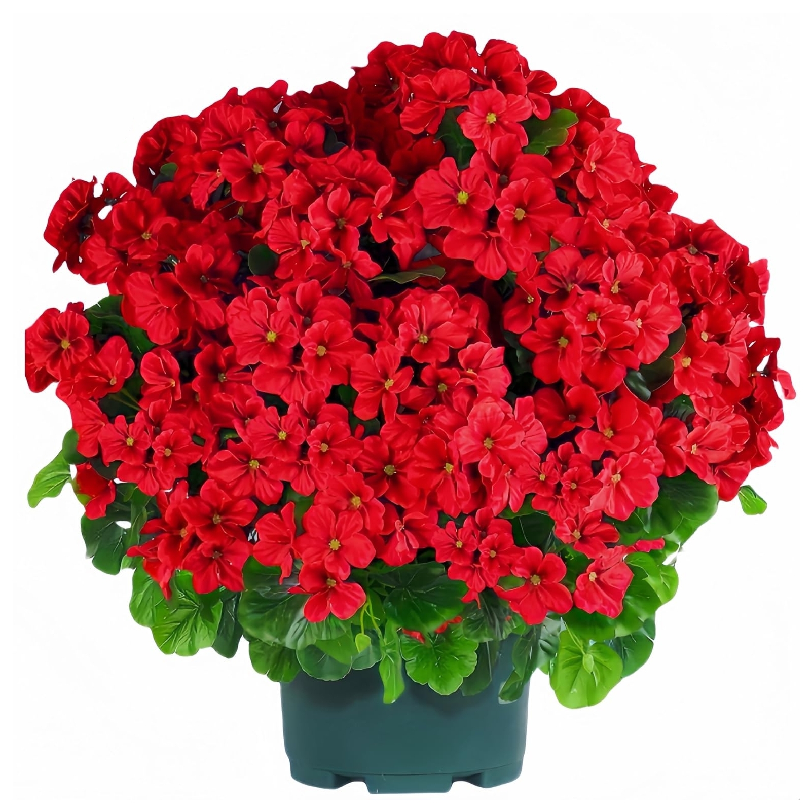 🔥Super Sale - 49% OFF🔥21