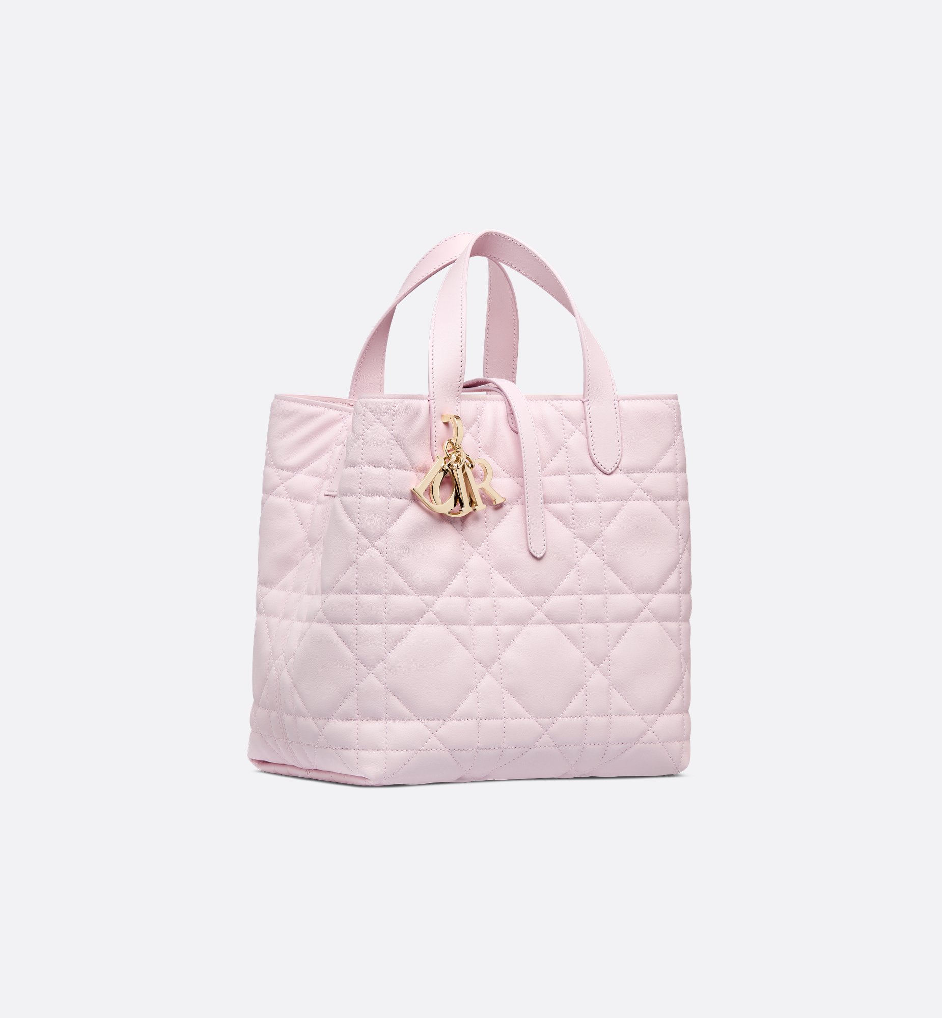 Dior Medium Dior Toujours Vertical Handbag M2836OSNW_M02N