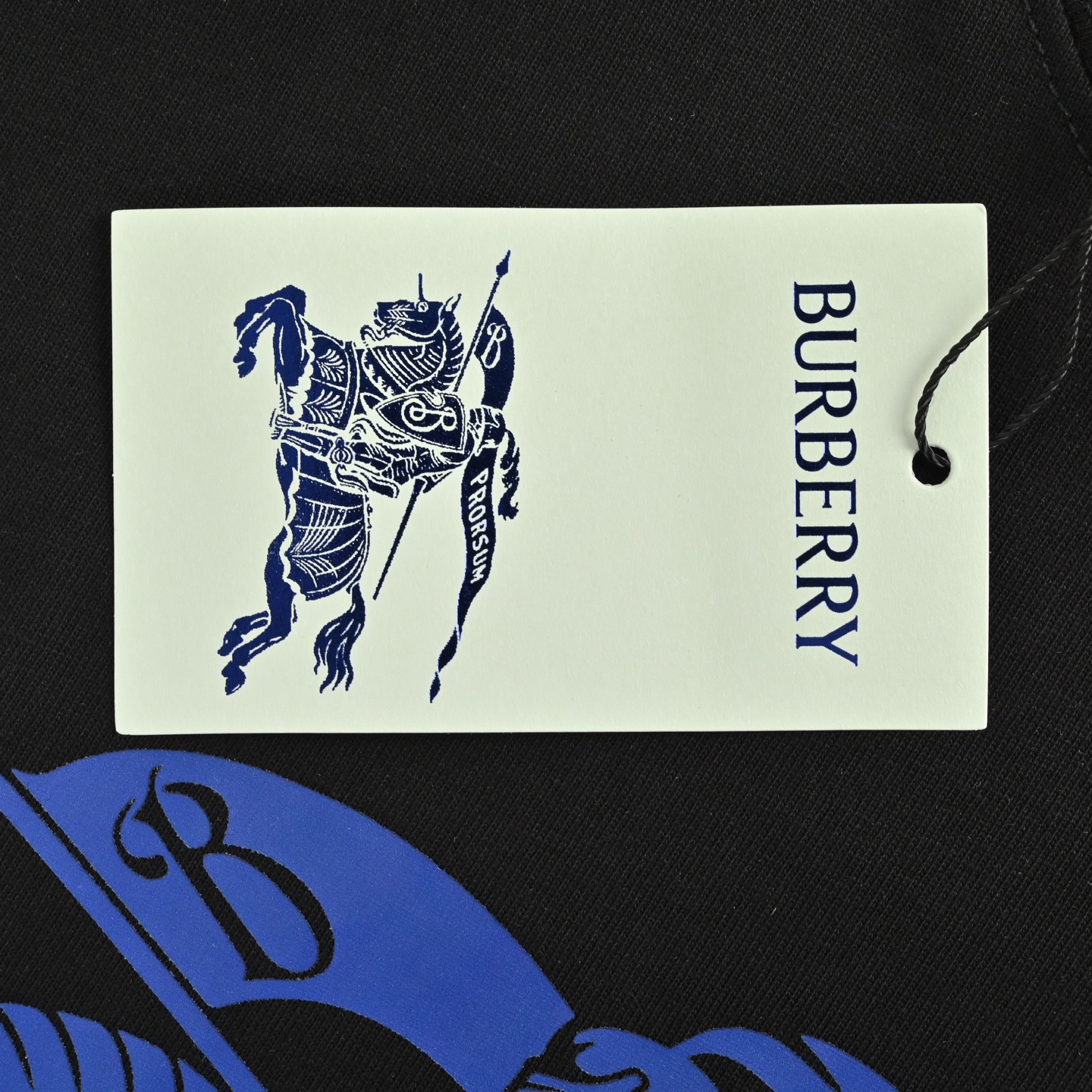 Burberry 25ss blue warhorse print short sleeve
