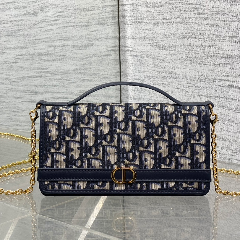 Dior 30 Montaigne Cigale Chain Bag