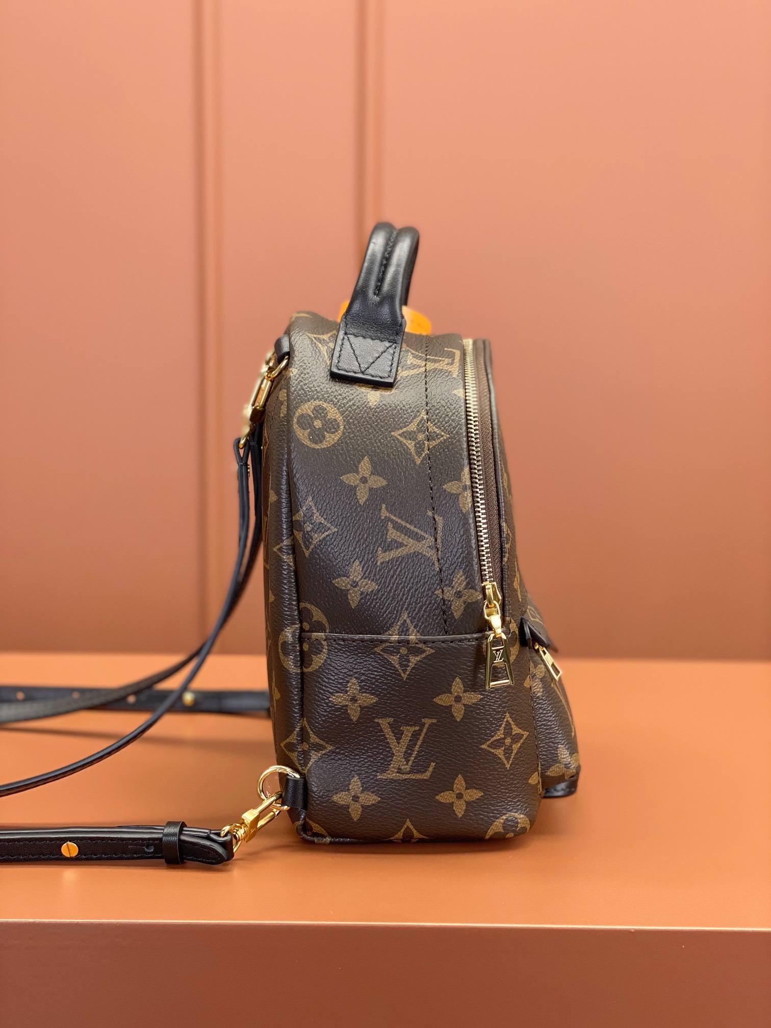 Louis Vuitton PALM SPRINGS Mini Backpack M44873