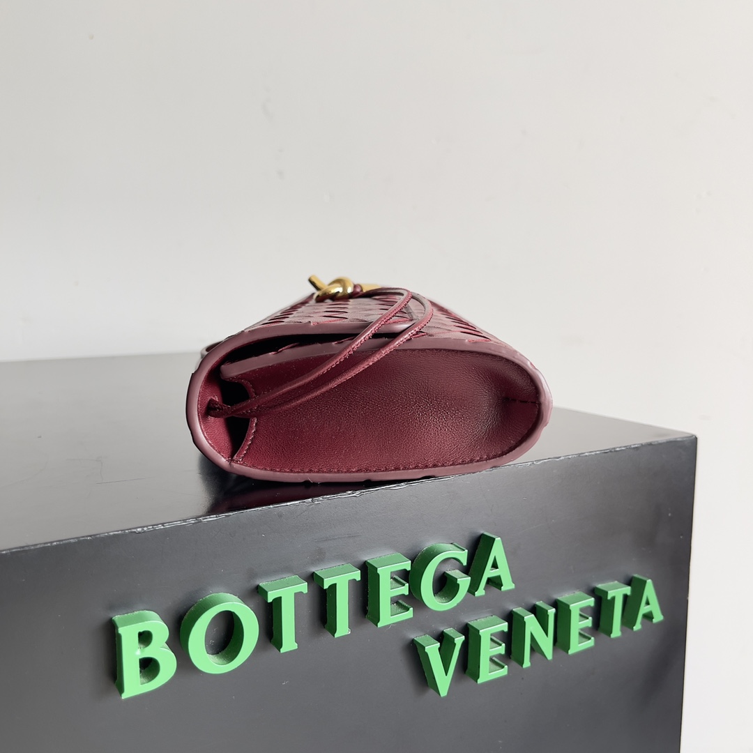 Bottega Veneta Andiamo Evening Clutch 741511