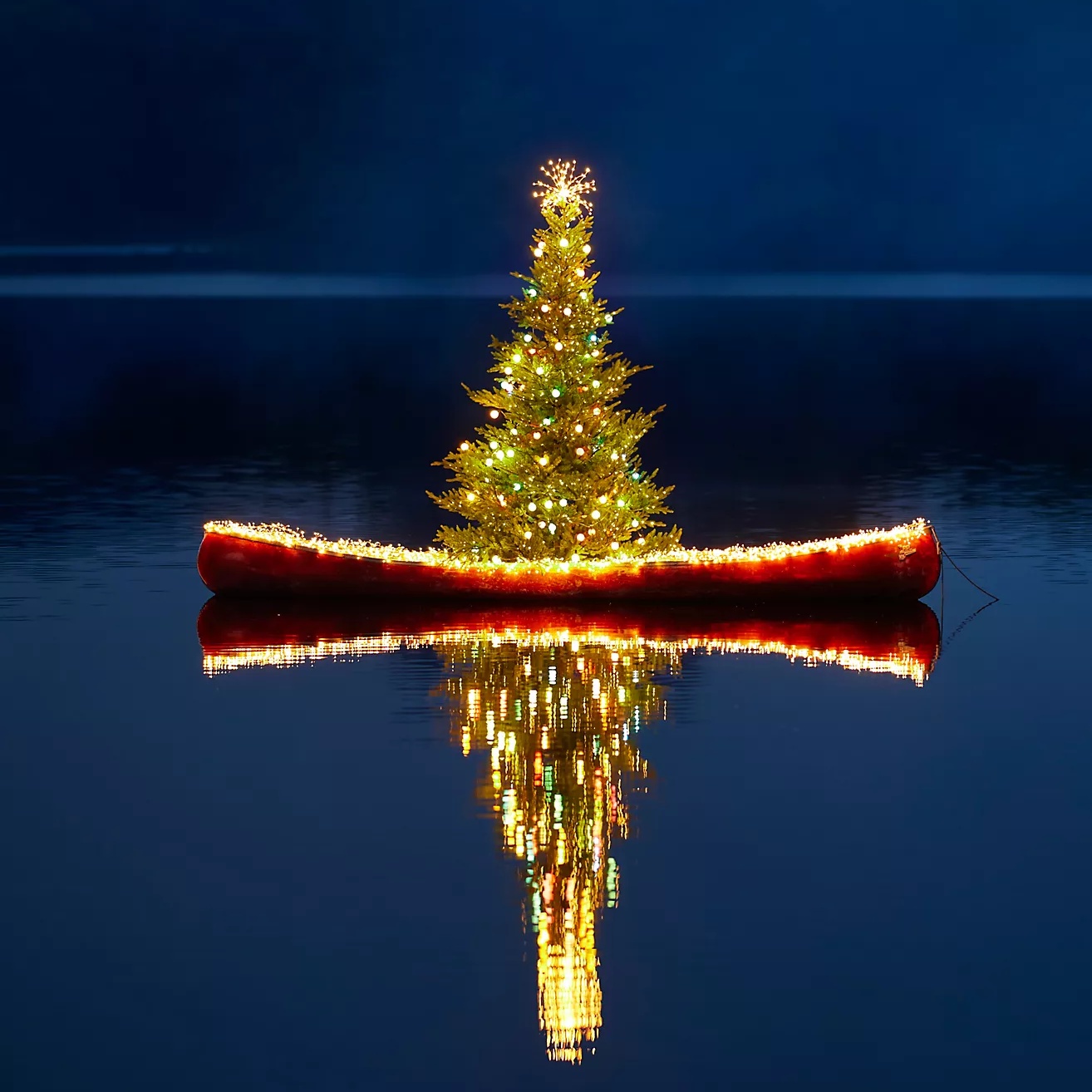 🎅2024 Christmas Promos🔥Stargazer Twinkling Climbing Vine Garland