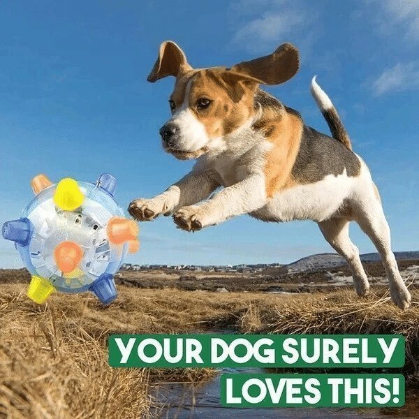 (💥Last Day Promotions-50% OFF)--Upgraded version- Jumping activation ball for dogs and cats--BUY 3 GET 2 FREE & FREE SHIPPING