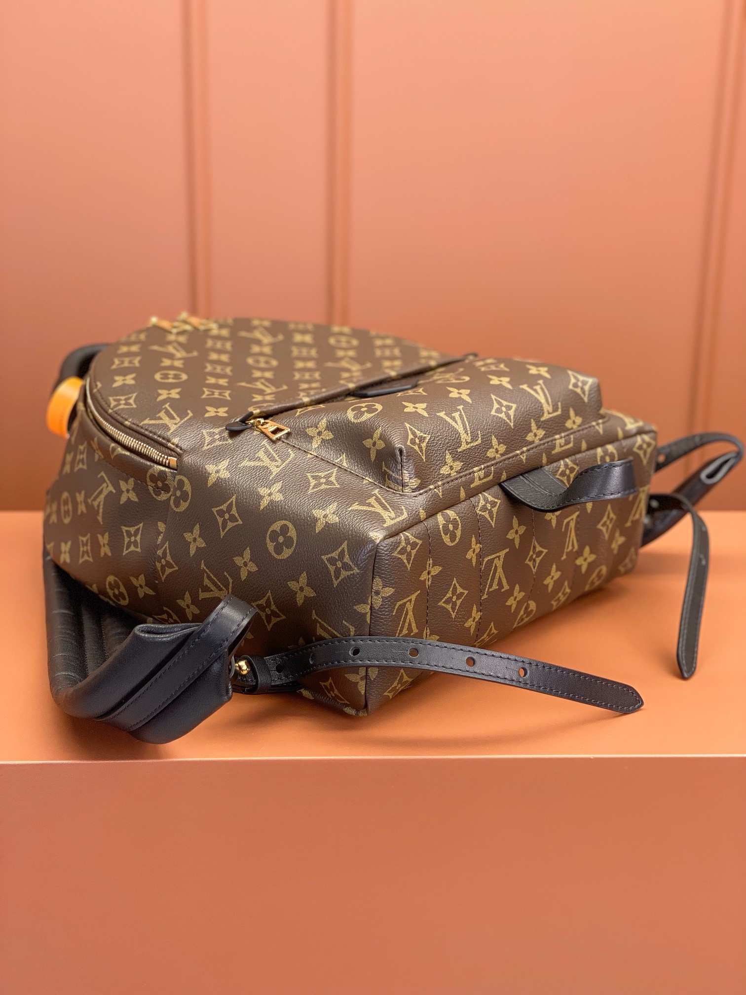 Louis Vuitton PALM SPRINGS Medium Backpack M44874