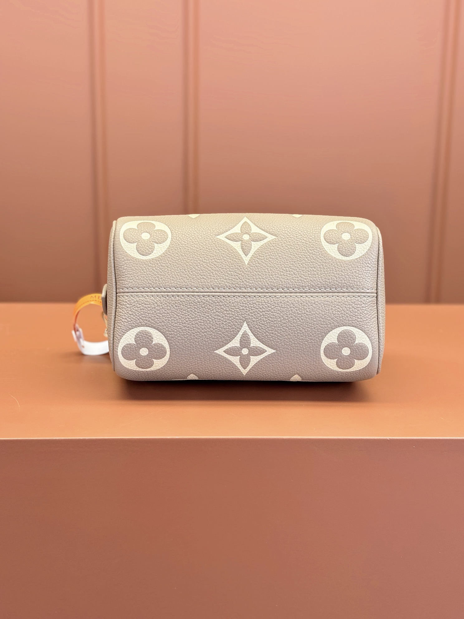 Louis Vuitton SPEEDY BANDOULIÈRE 20 Handbag M46575