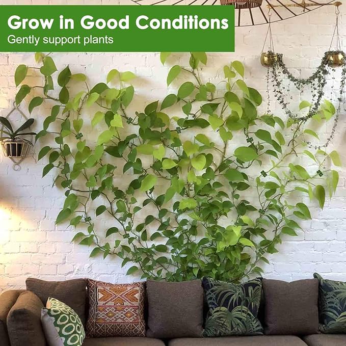 🌿🌿Plant Climbing Wall Fixture Clips