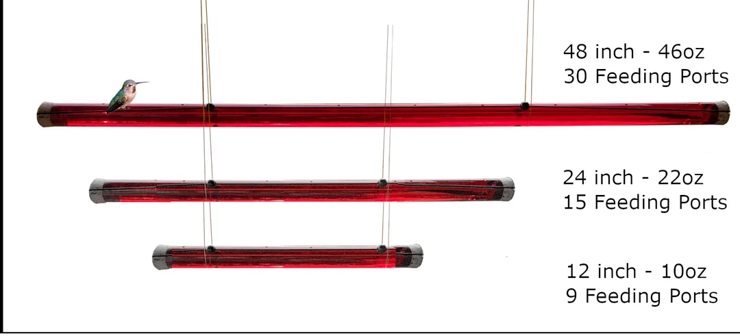 🔥Last day 49% Off-Anna's Hummingbird Feeders