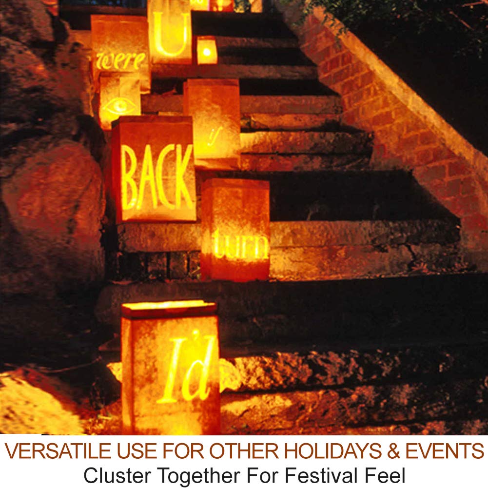 💥ON SALE💥2-Pack Orange LED Pumpkin Lights with Timer & Remote 🎃 🧡