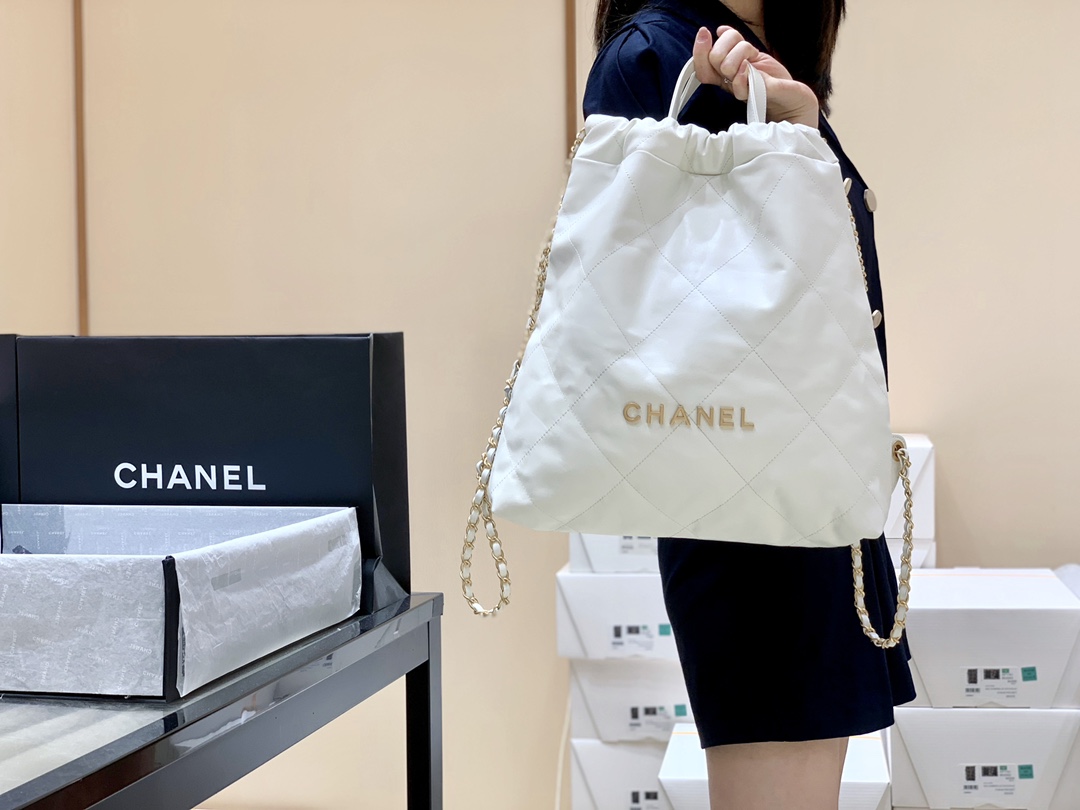 Chanel 2022cc Spring/Summer Collection Handbag AS3313