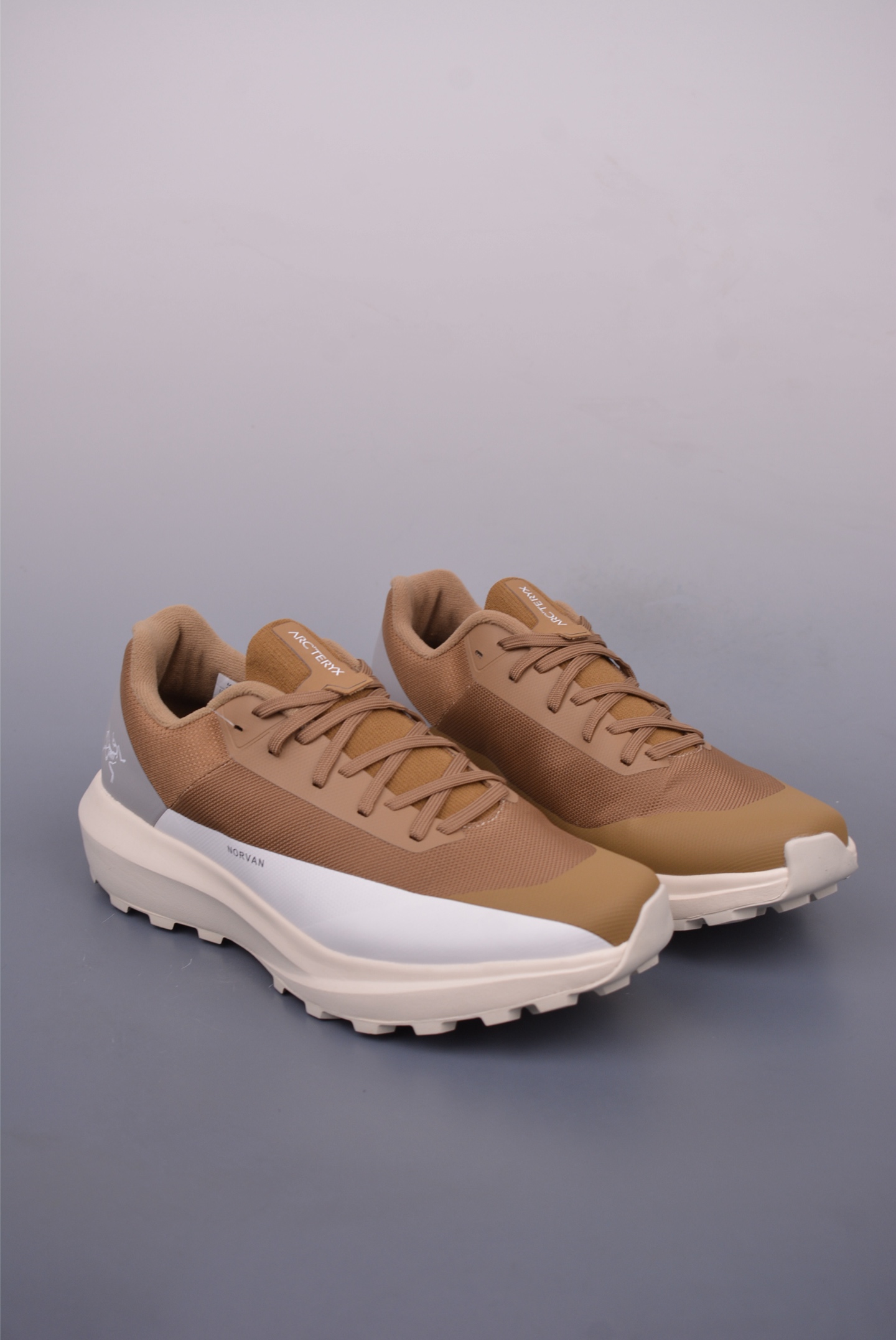 Arc'teryx Norvan LD 4 