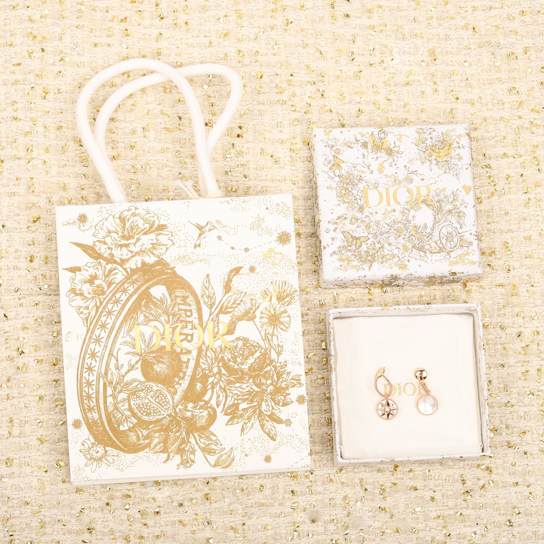 Dior Compass Earrings