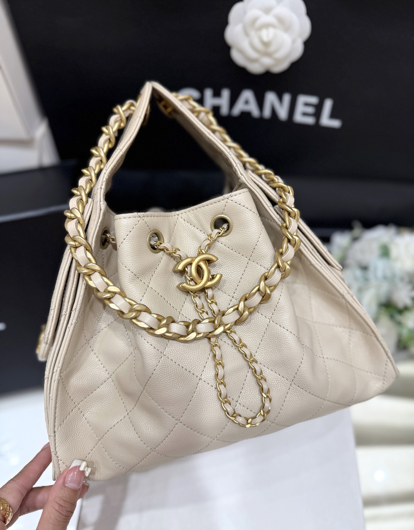 Chanel 25S Spring/Summer Collection Handbag AS5293 00158