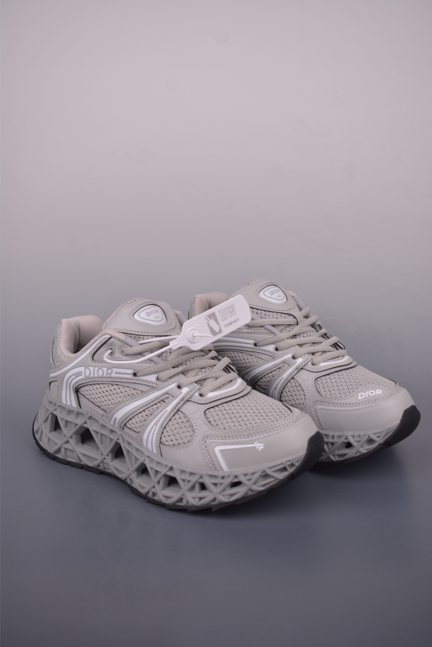 Dior x Kaws B35 NXT Daddy Shoes 3SN323ZCY3114