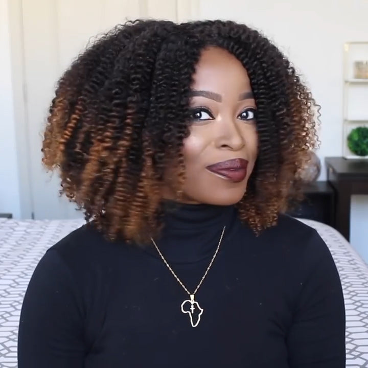 Natural Wig, Best Wig Ever Type Hair