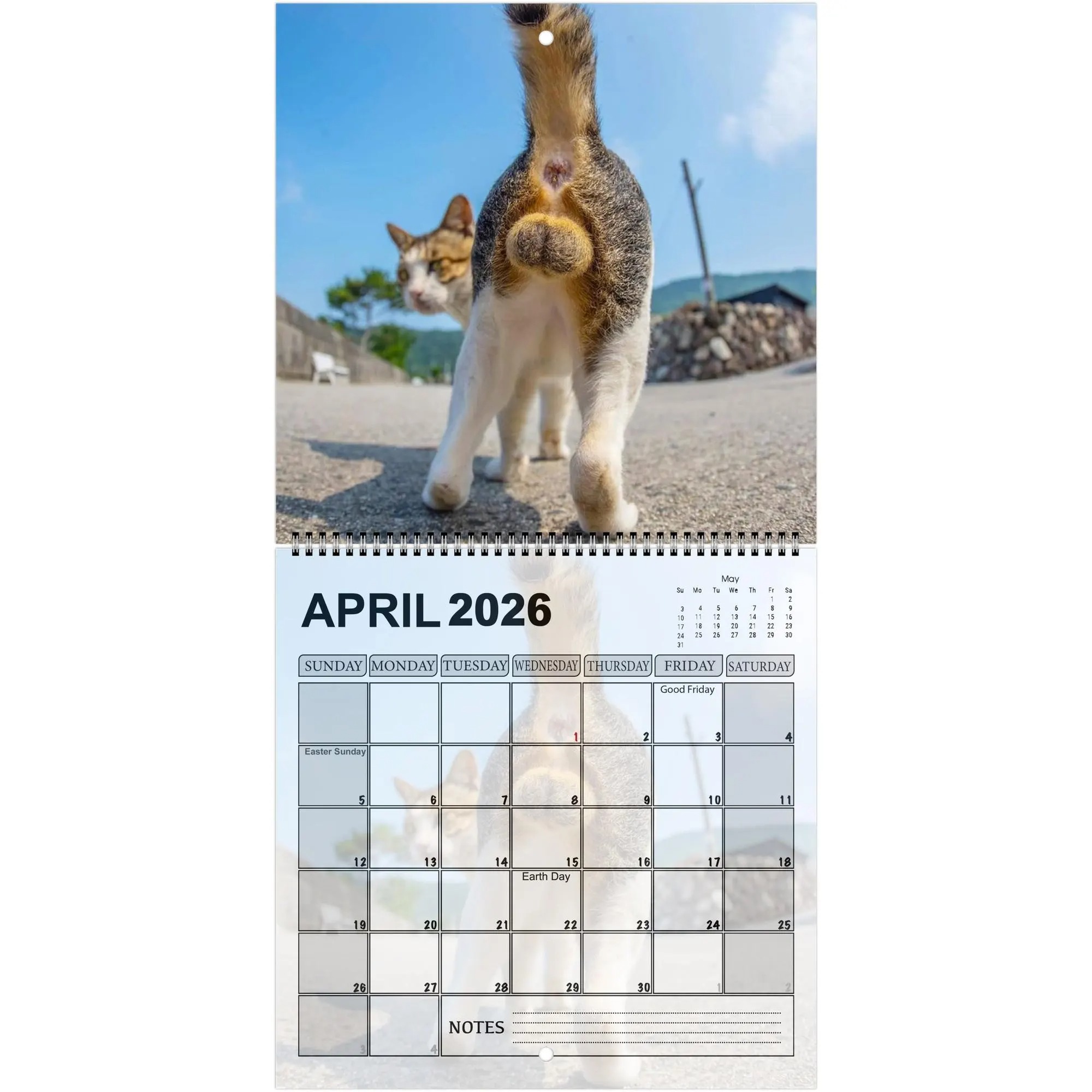 Cats' Buttholes 2026 Calendar: Funny Gag Gift for Cat Lovers
