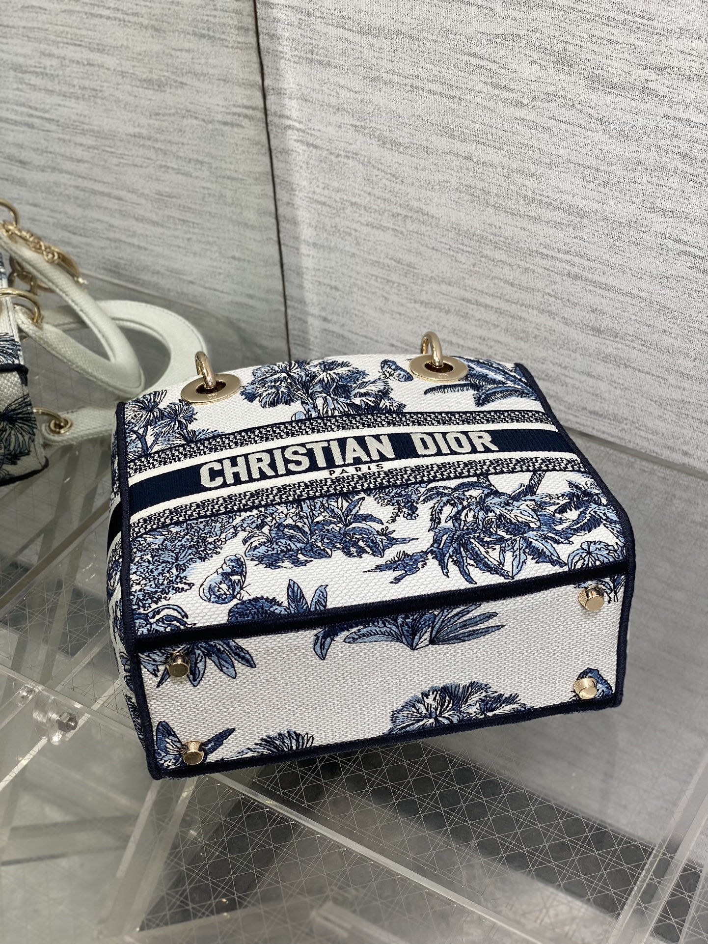 Dior Lady Summer Collection Embroidered Lady Bag