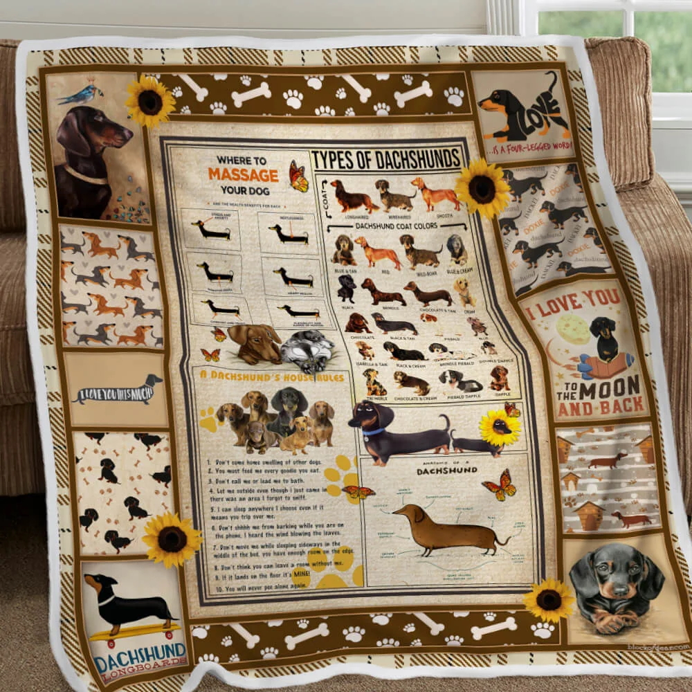 Dachshund Knowledge Sofa Throw Blanket