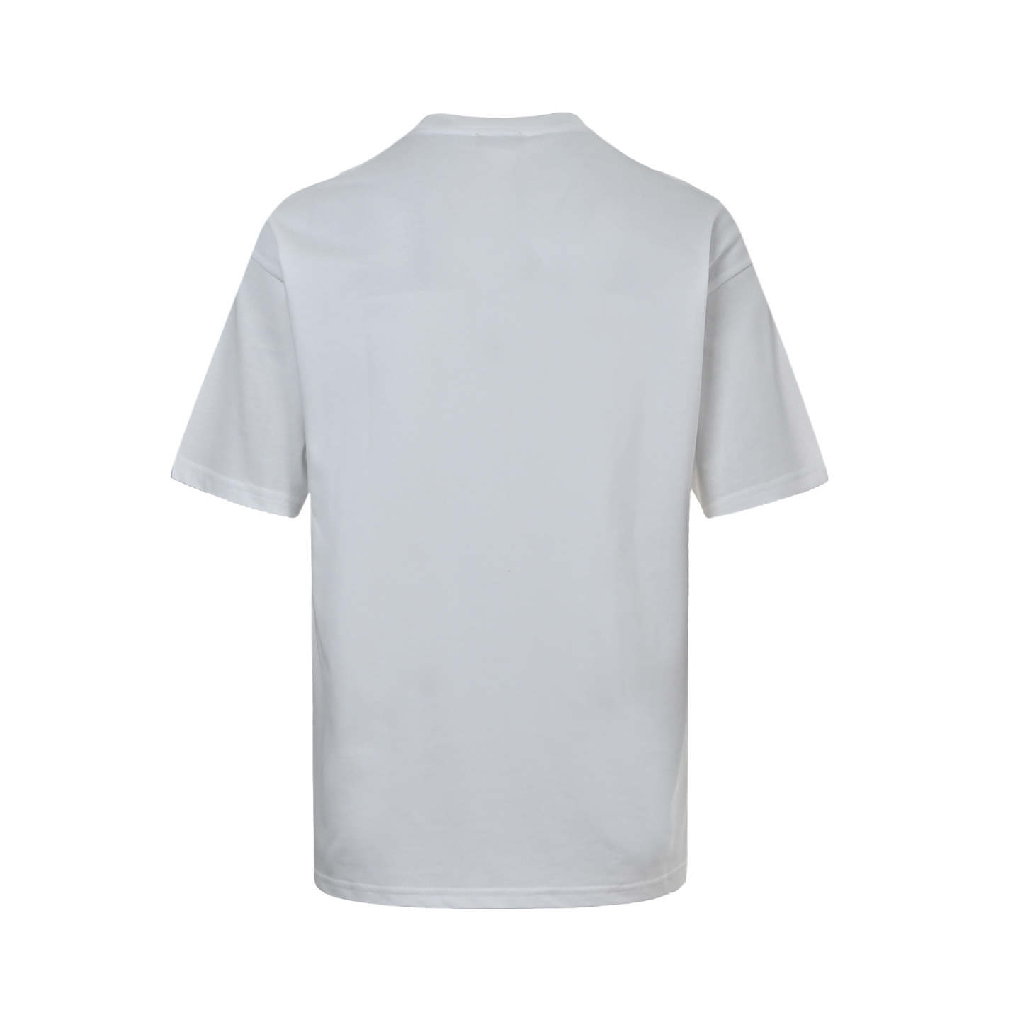 Dior 25ss letter dinosaur embroidered short sleeve