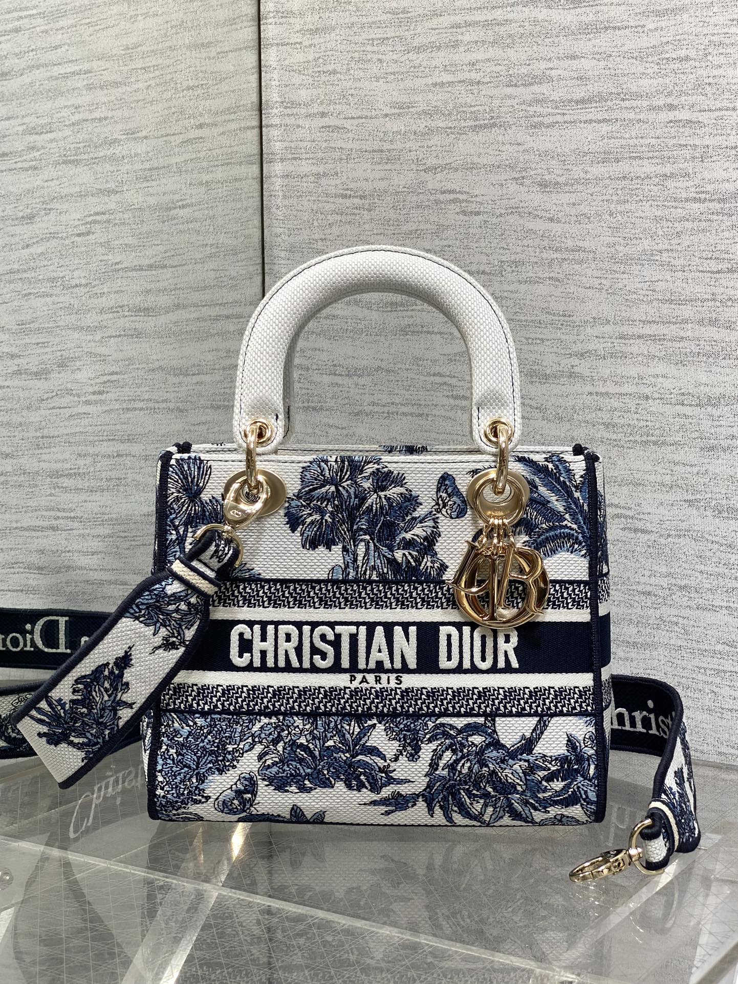 Dior Lady Summer Collection Embroidered Lady Bag
