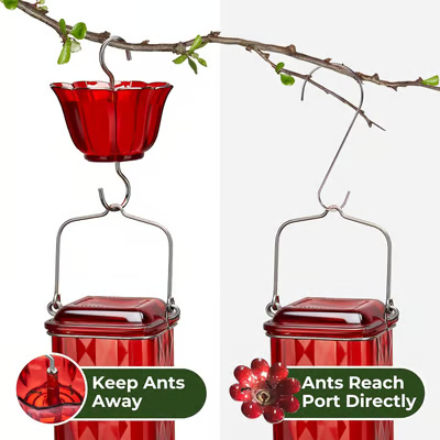 🔥HOT SALE 50% OFF🔥New Hanging Outdoor Glass Hummingbird Feeder With Perch And Built-in Ant Moat🐦