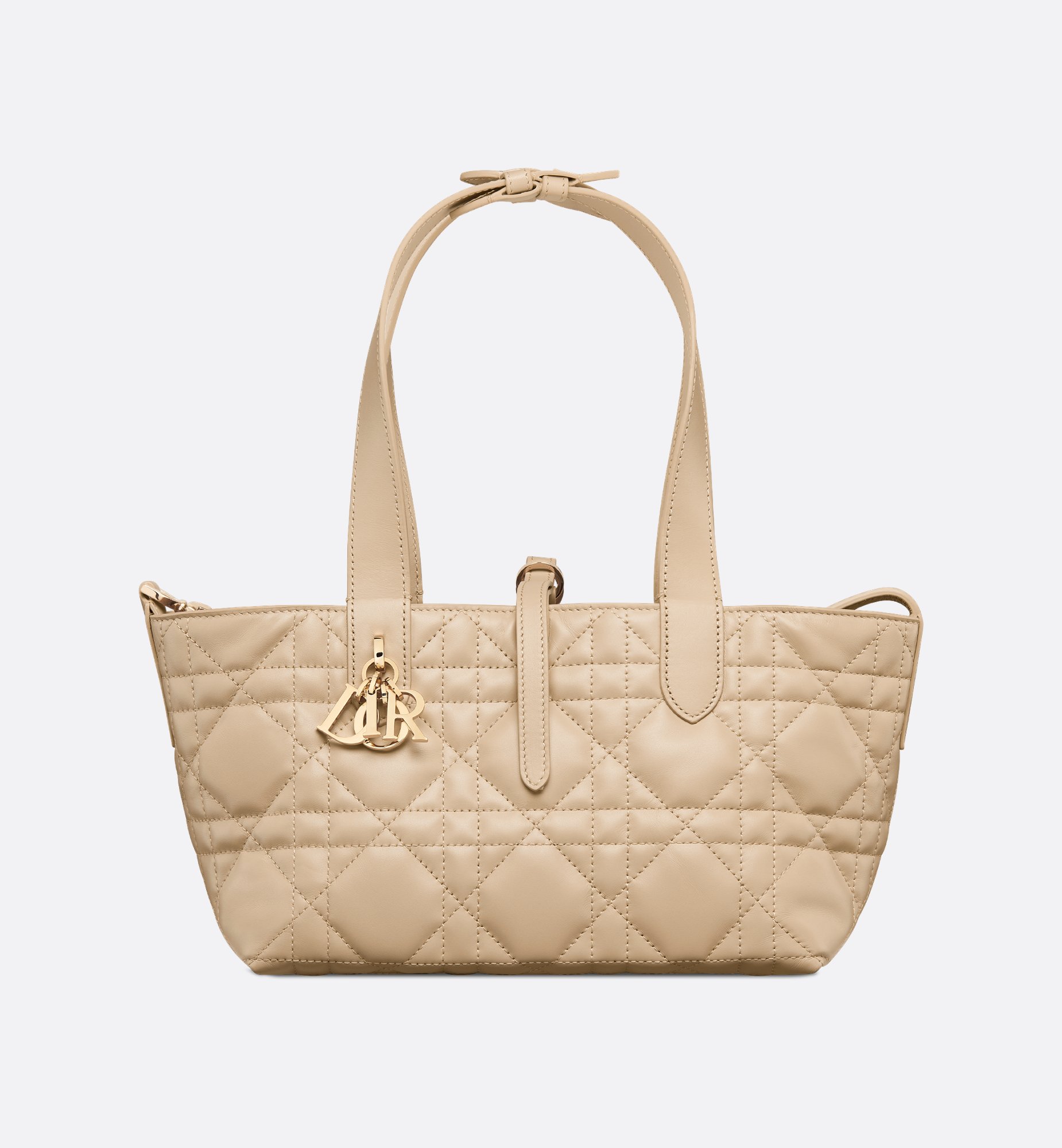 Dior Small Dior Toujours Bag M2822OSNW_M51U