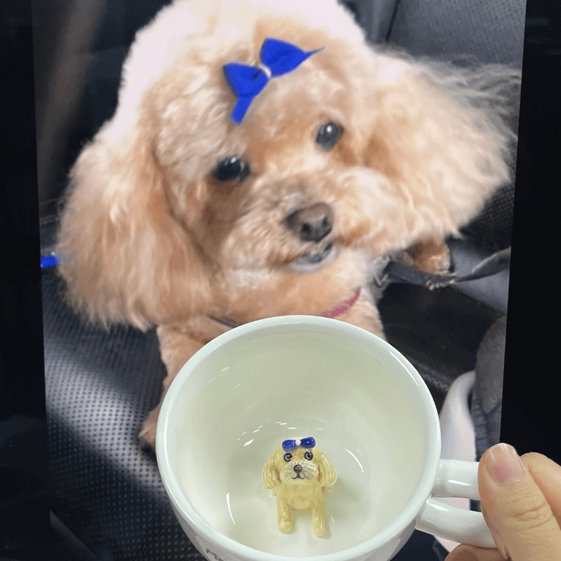 Custom Pet's Figure Ceramic Mug-Sponsor