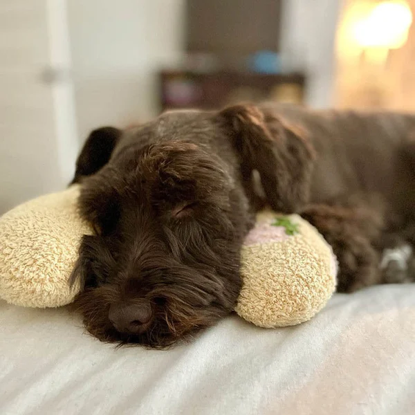 🐶🐱The Calming Pillow💐BUY 1 GET 1 FREE