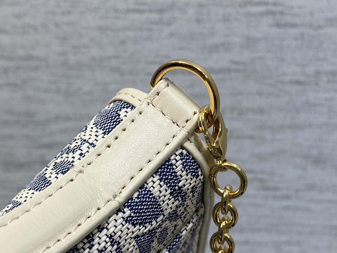 Dior 30 Montaigne Cigale Chain Bag