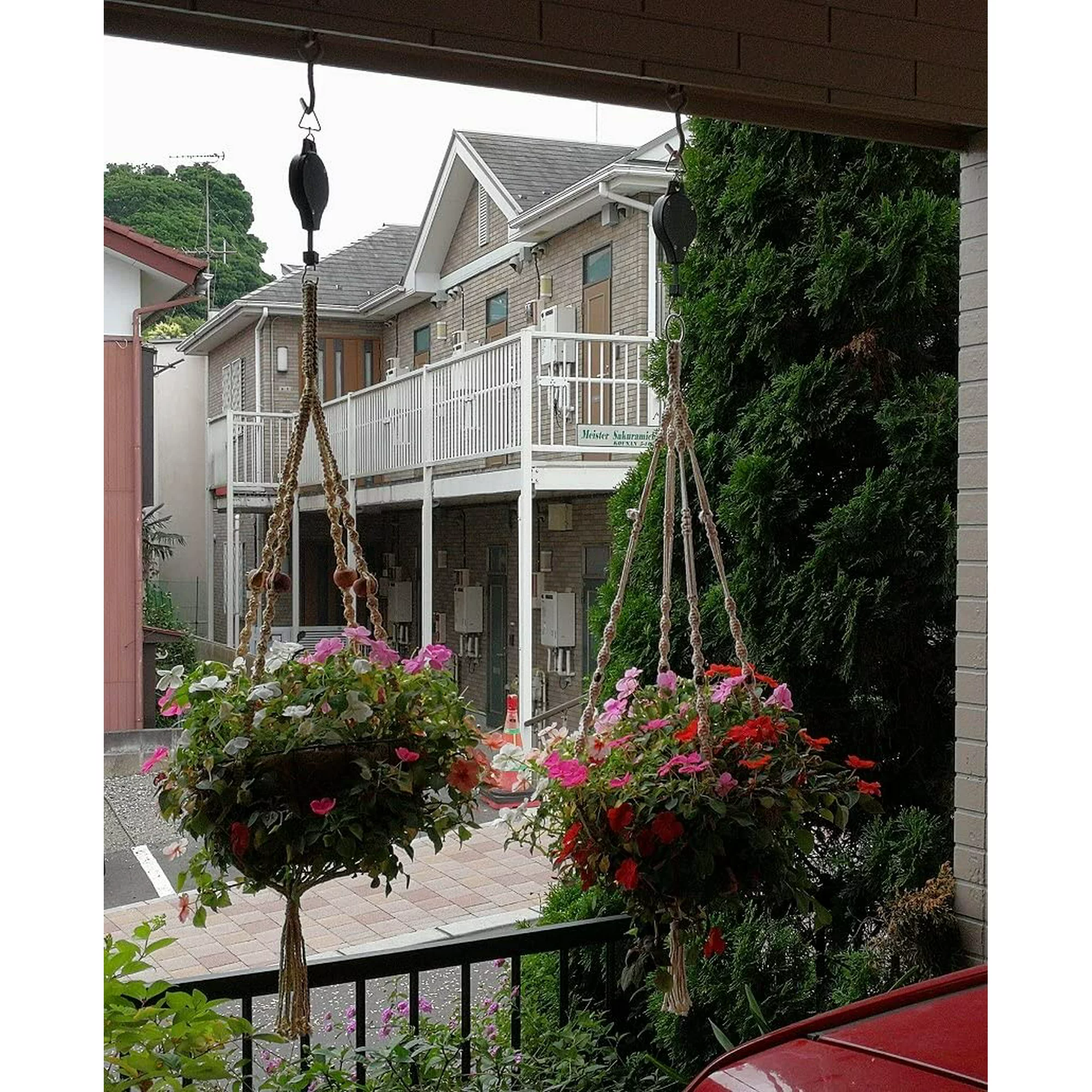 🔥Last Day Promotion - 50% OFF🔥🌳Plant Pulley Set For Garden Baskets Pots, Birds Feeder❤️❤️Buy 10 Get 5 Free && Plummet $20 👉Only $59.99