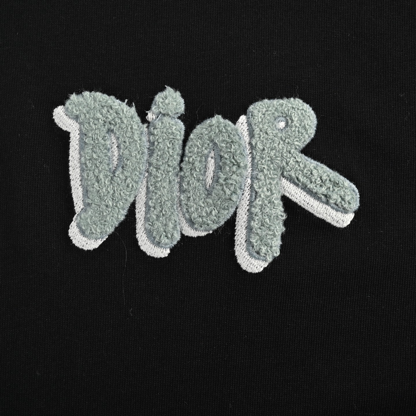 Dior 25ss double shadow toothbrush embroidered logo short sleeve