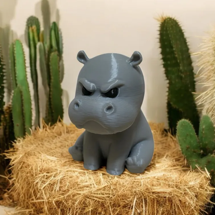 Grumpy Hippo🦛