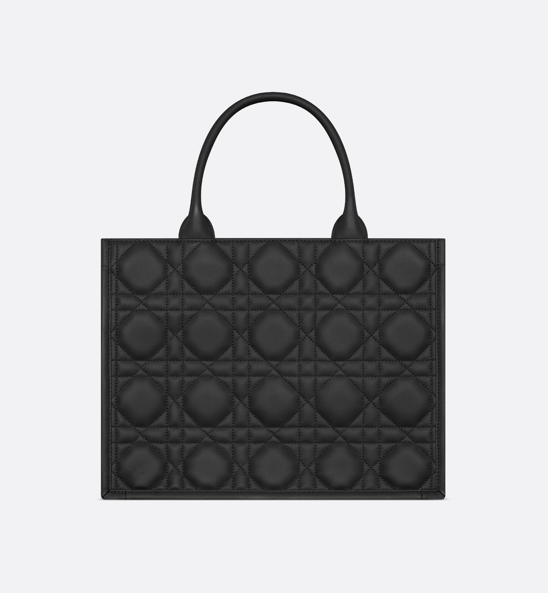 Dior Medium Book Tote Bag M1324SLOI_M900